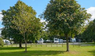 All Weather Trailer Tent Pitches